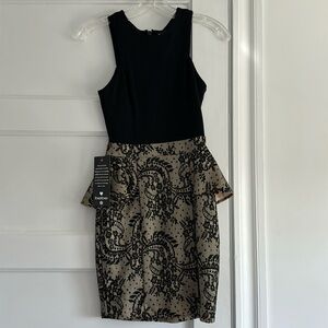 Peplum Lace Bebe dress